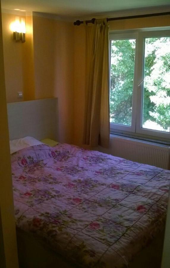Saray Downtown Apartment Private Parking Free Wifi Sarajevo Exterior foto